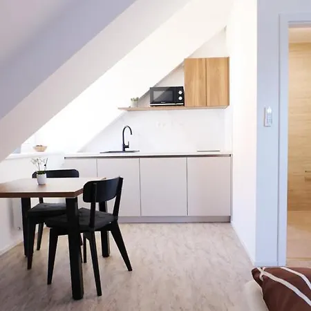 J&p Slavicin Apartman *