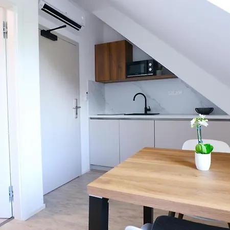 J&p Slavicin Apartman *